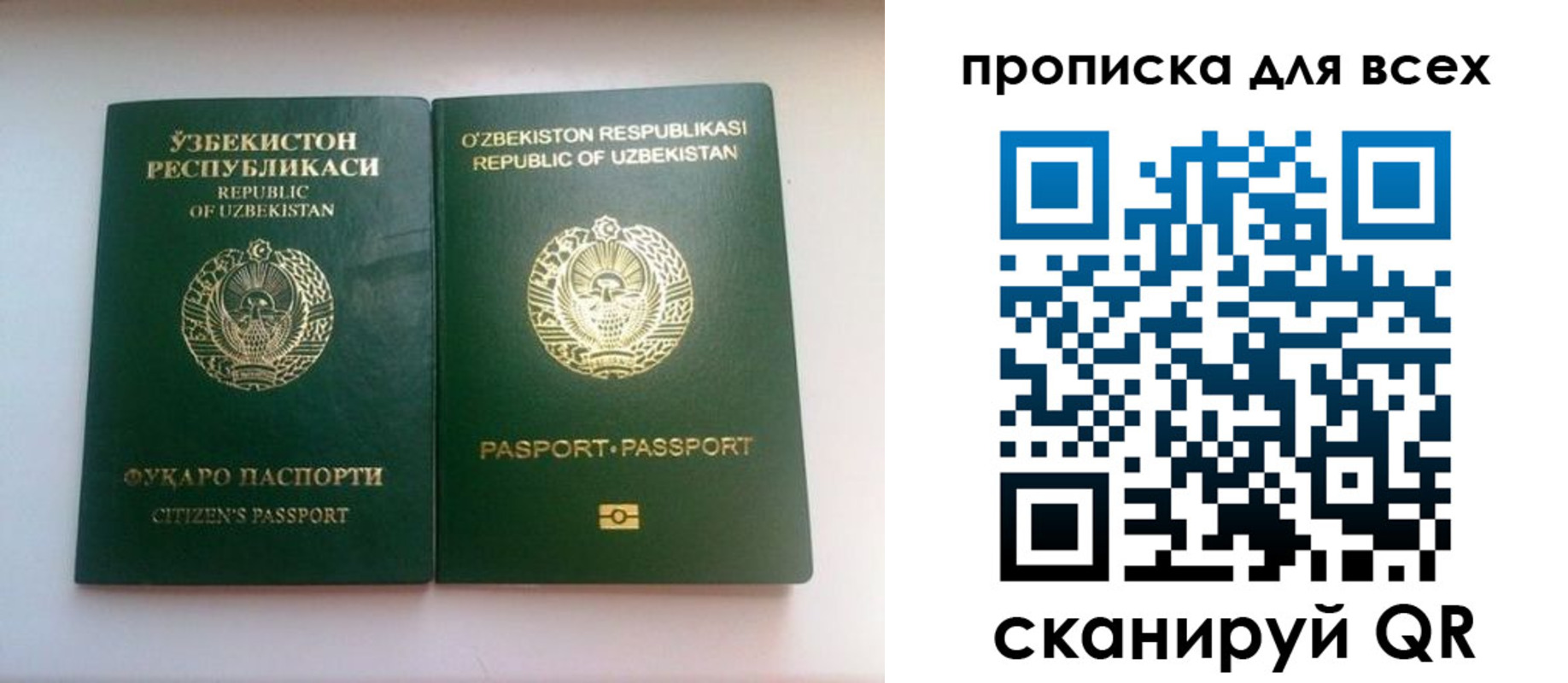 прописка для школы в Емве